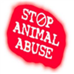 ainimal abuse is wrong