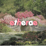 ether-ae