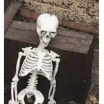 Ello Elli