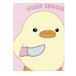 THE SLAY DUCKIES