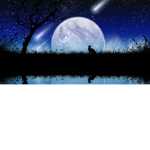 Moonstone clothing group