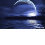月夜公司
