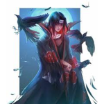 bjr les gars slt slt