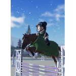 -Oak Field Stables-