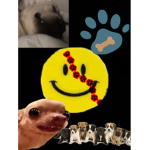 dogs yeet squad