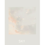 × Lonely Skies ×