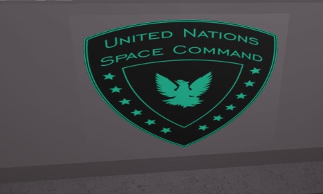 THE UNSC