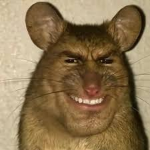 Da Empire Of Sigma Rats