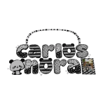 ୨୧・Carlos Nora