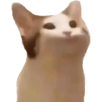 【SUPER CAT 超級貓咪】粉絲俱樂部