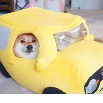 super wyścig dobra zabawa szybkie auta