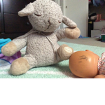 Lamb lounge