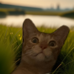 CatStudios (Cats only)