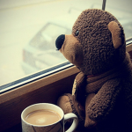 Teddy bot toy