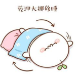 the aution sleep