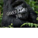GORILLA ONLY FAM