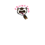 Ferret Jam