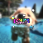 Lou‘s shop