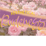 ~Aesthetic Rudeness~