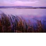 Summer Lake