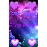 PURPLE HUB