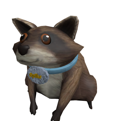 Spike the racoon.