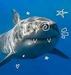 loan-sharkers