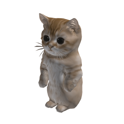El Gato Cat Cute Suit
