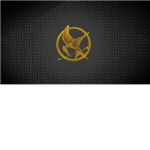 Catching Fire Careers