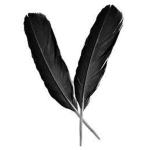 the feather of the raven