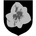 Second Guard Division