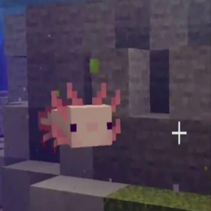 minecraft axolotl Roblox decal