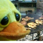 Mentally disabled ducks