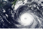 The Official Typhoon Productions