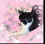 Lima's swaggy cats :)