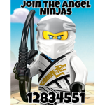 Angel ninja crew