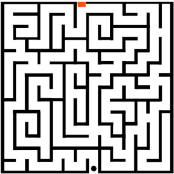 Maze for Admin, Easy