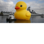 the duck is coming
