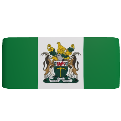 UDI Flag Armband (Light Green) [Left]