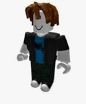 bacons hairs union