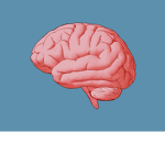Super Big Brain Group