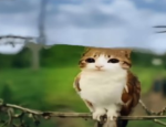 owlings