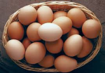 egg carton gang