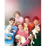 1D fandom