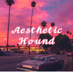 Aesthetic Hound