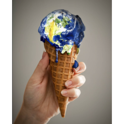 [NEW]🍦🍨find the icecream morphs!🍦🍨[NEW]
