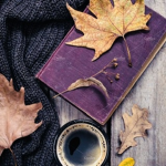 Autumn in ~~