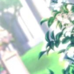 ✿