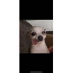 Get hacked HAHAH