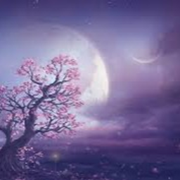 Pixie's Hangout
